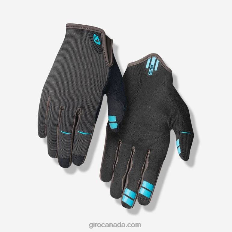 Giro Coal/Iceberg Men Dnd Glove 46F4N804