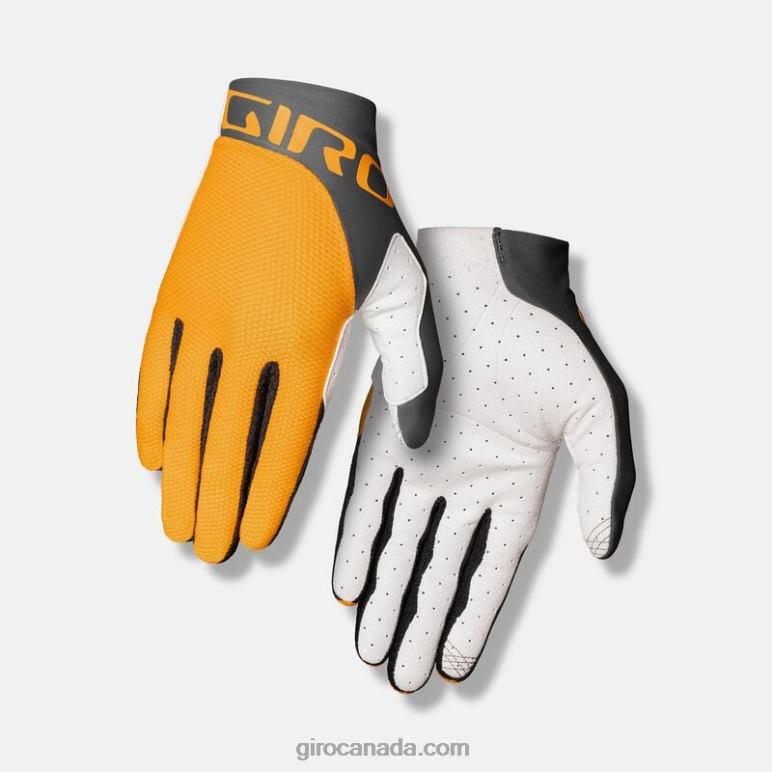 Giro Glaze Yellow/Portaro Grey Men Trixter Glove 46F4N747