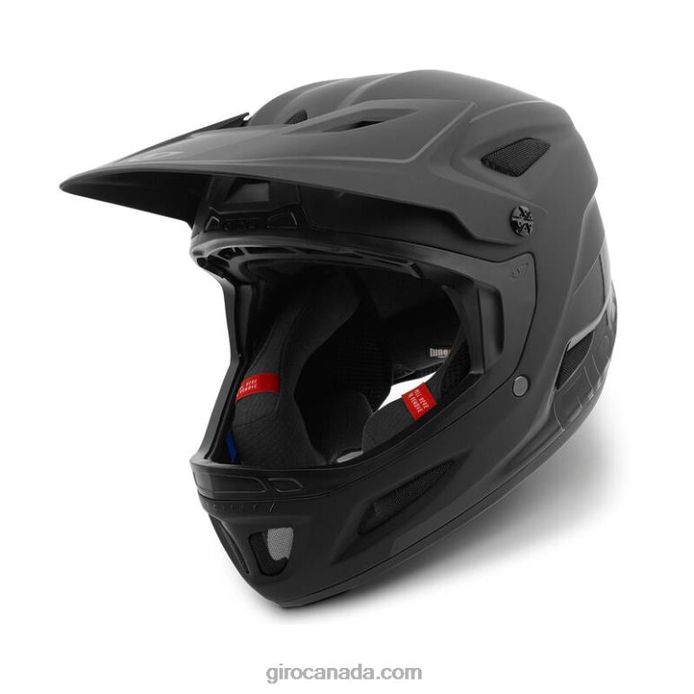 Giro Matte Black/Gloss Black Unisex Disciple Mips Helmet 46F4N418